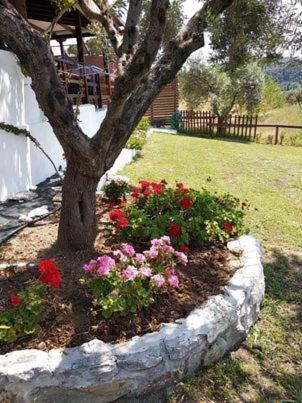 Ases Villa Lagonisi Halkidiki Ormos Panagias Bagian luar foto